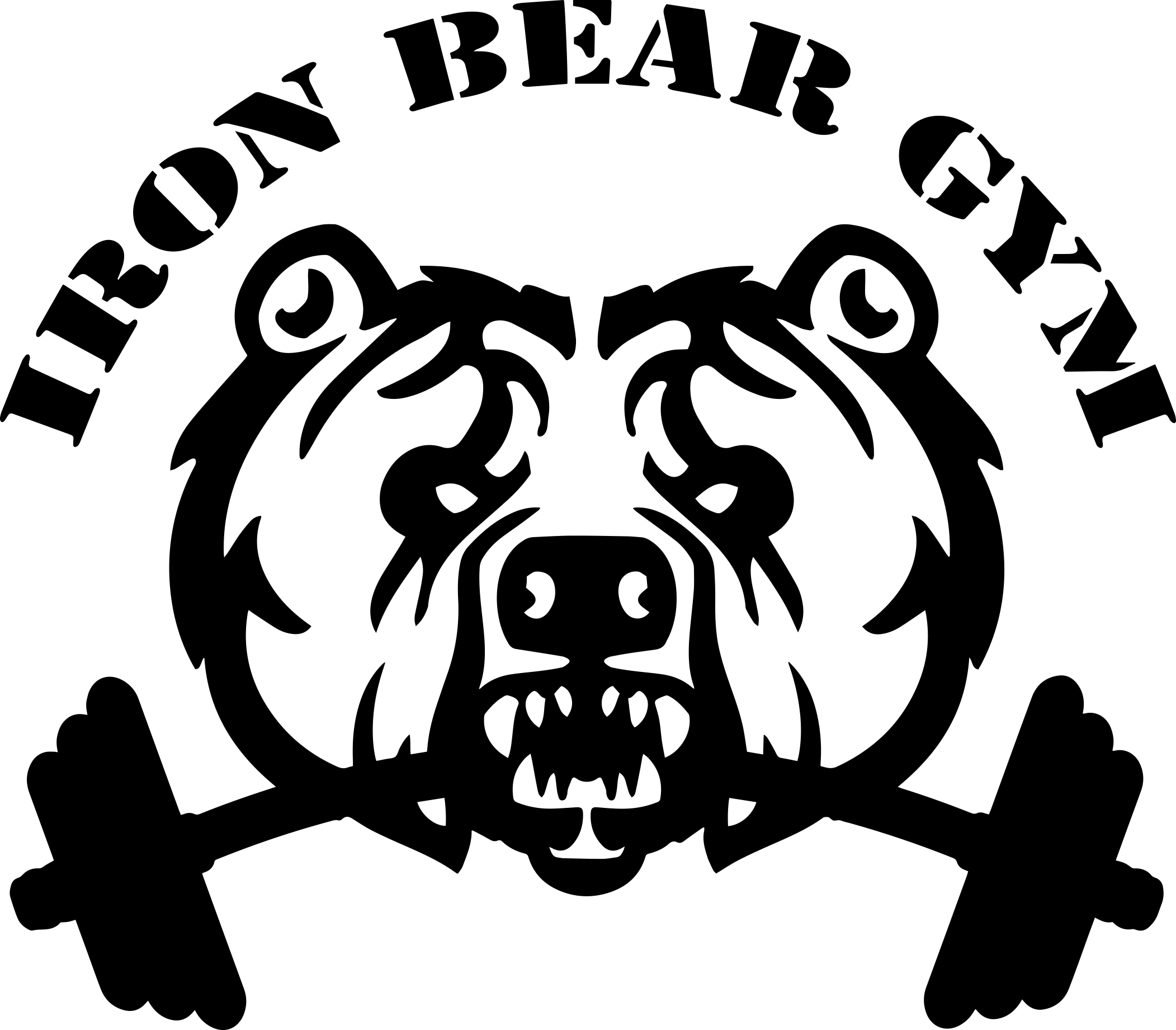 Iron Bear Gym